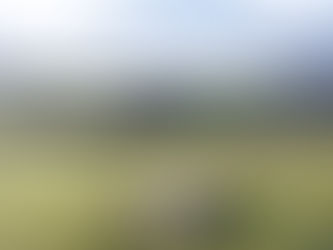 Dolls in the landscape