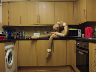 Dolls in the home