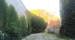 Art Makes People Happy?