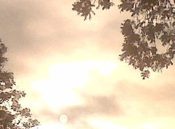 Sky Lights Up Bright