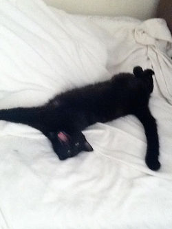 "Enough Photography"