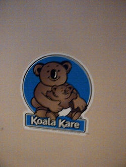Ever Seen A Koala In...