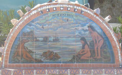 Train A Seal to Balance A Ball...