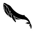 Ballena.png