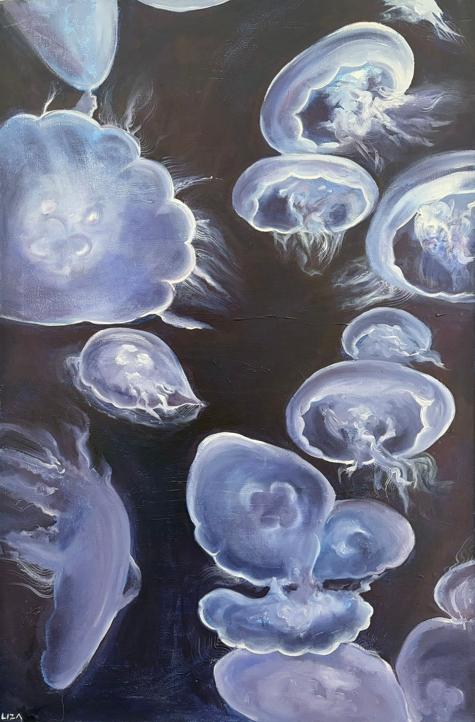 Jellies by Liza Suchar