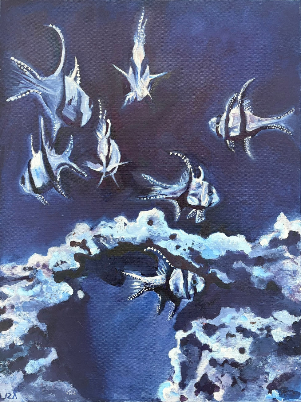 Cardinalfish by Liza Suchar