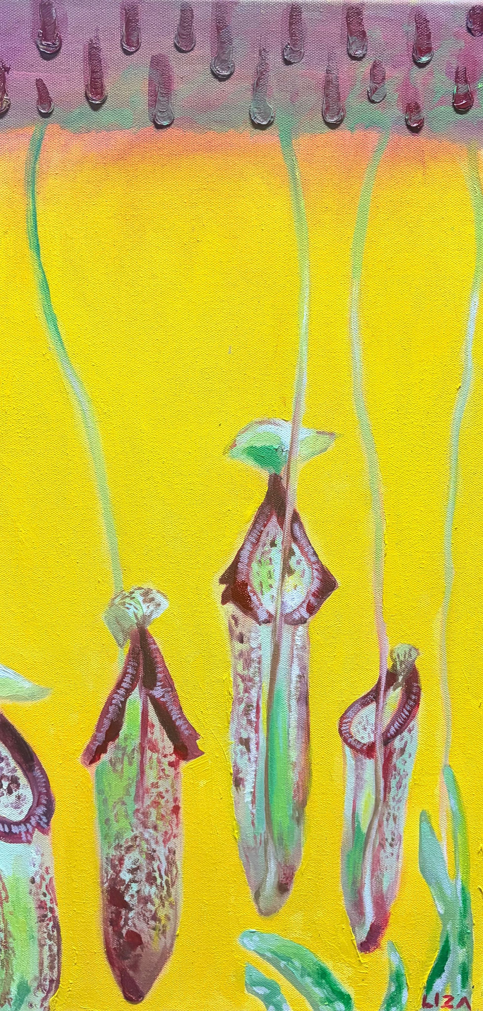 Carnivores by Liza Suchar