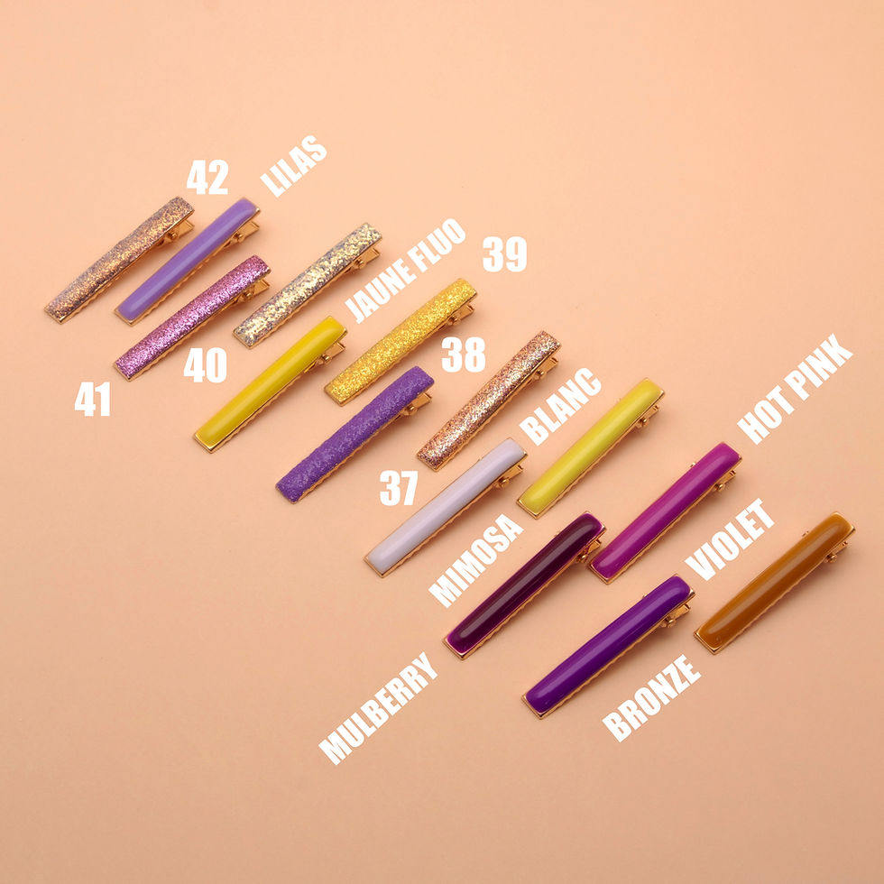 Miniature : Barrette CHANCE Croco PM
