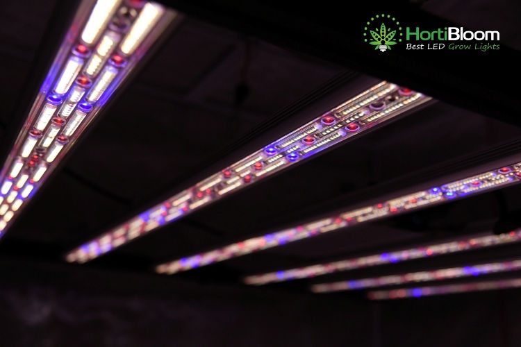 Thumbnail: Mega Optic 1000W LED Grow Light