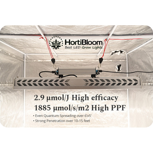 Flux 650W LED Grow Light | HortiBloom