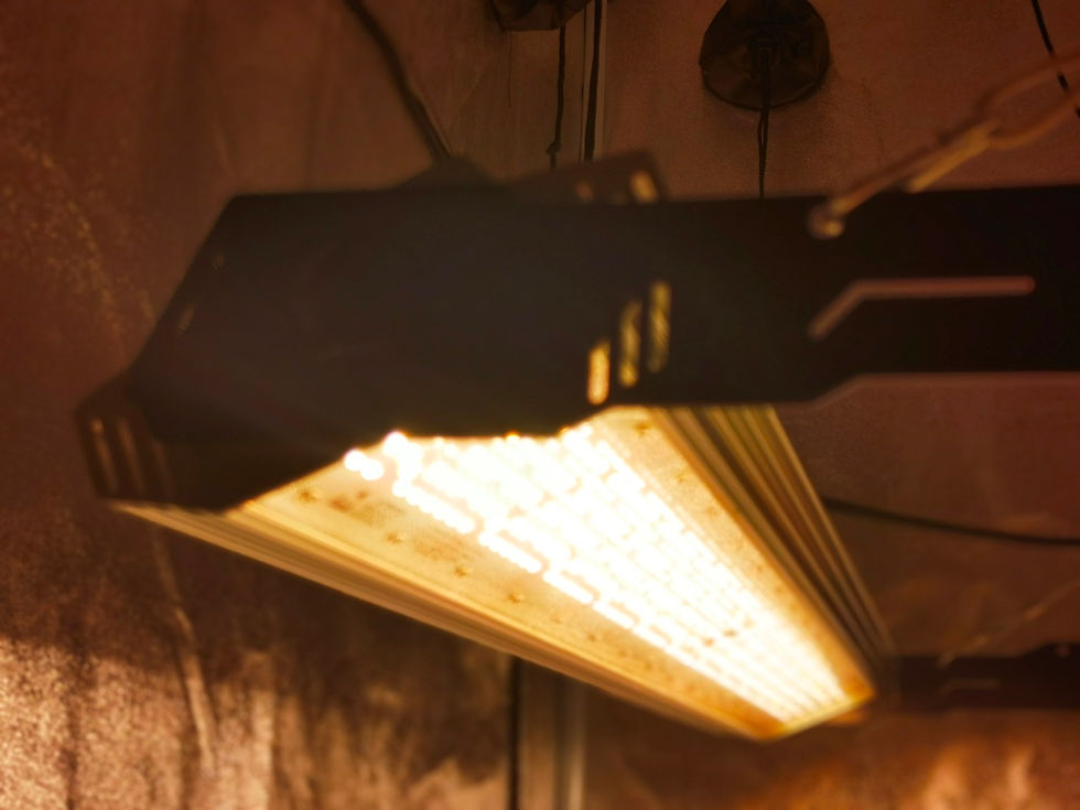 Thumbnail: Mega Pro 600 LED Grow Light