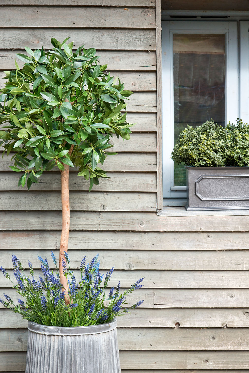 Thumbnail: Artificial Bay Tree with Lavender and Dolly Planter