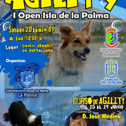 Cartel Agility 2009.jpeg