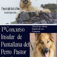 Concurso 2009.jpeg