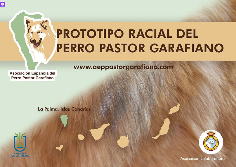 pastor-garafiano_prototipo-racial-1-1.jpg