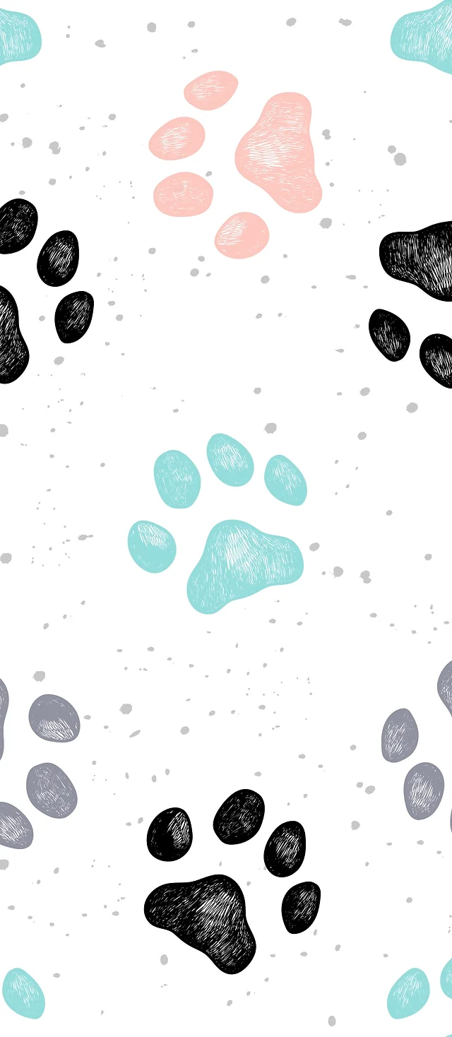 happy tails boarding kennel