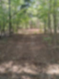 IMG_20241005_151726031.jpg
