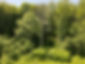 dji_fly_20240614_140126_991_1718388139051_photo_edited.jpg