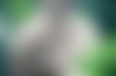 Qual sua responsabilidade na desordem do planeta?