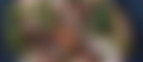 toast - healing food