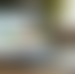 Why Online Presence Benefits Health and Wellness Brands in Mexico