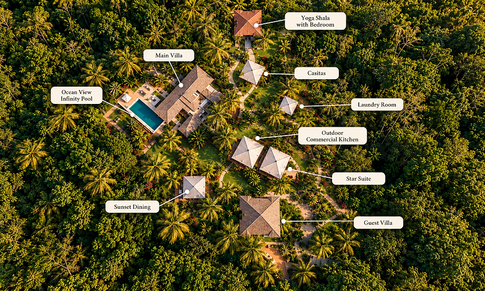 Golden Hour Jungle Resort Aerial Map