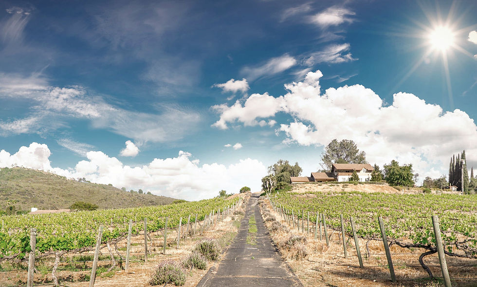 CLOSED for SPECIAL EVENT