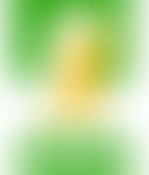 Les Maisons Familiales Rurales