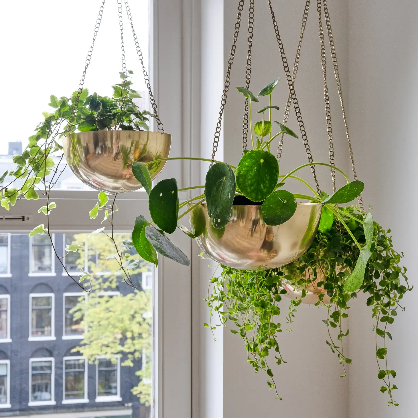 Golden Hanging Planters Serra