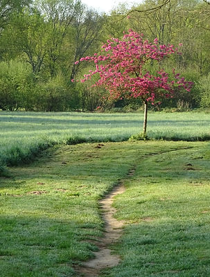 Nathalie Hinsinger accompagnement