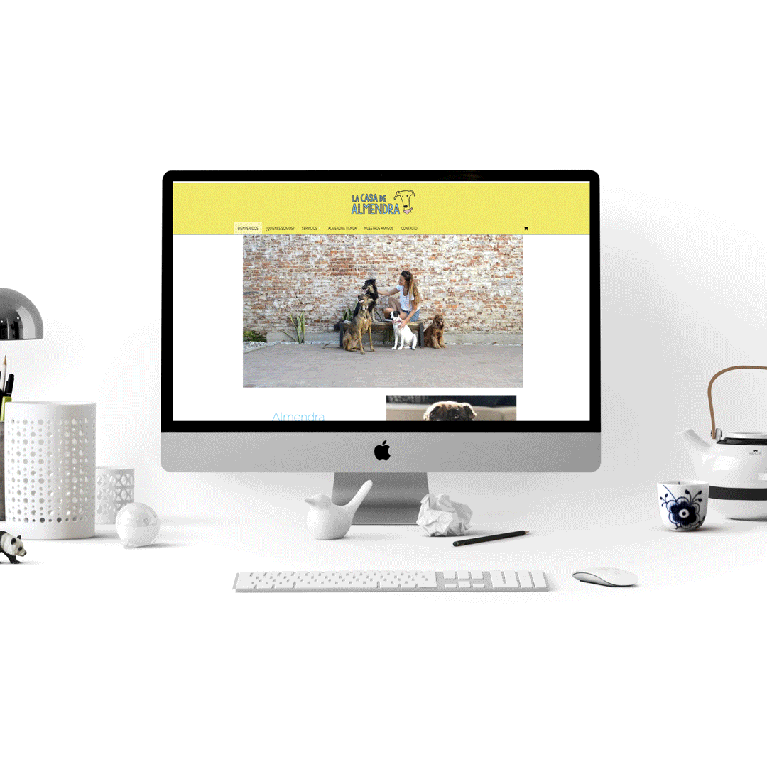 diseño de Sitio web / tienda online
