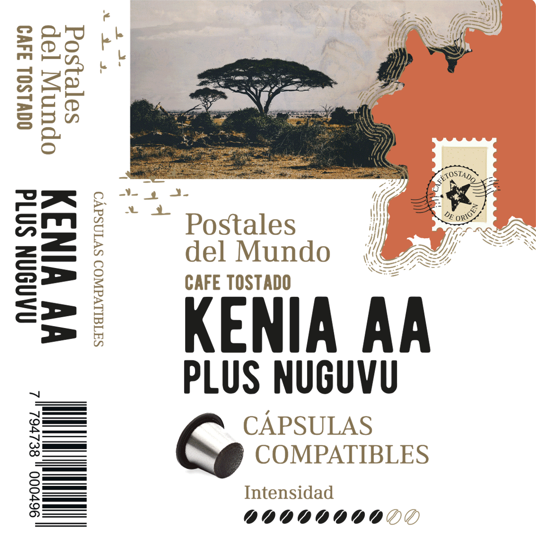 Diseño de packaging