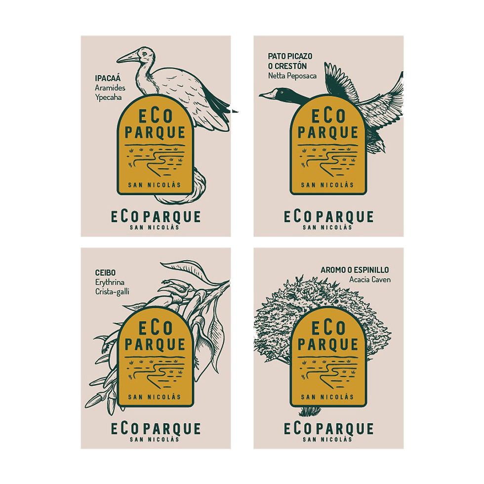ecoparque-diseno-identidad