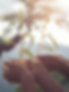 environmental-conservation-garden-children (1)_edited.png