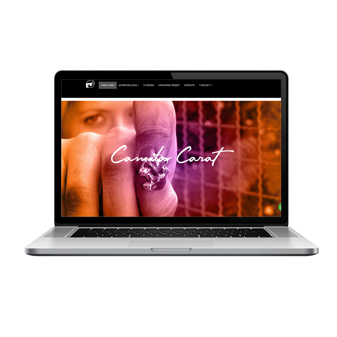 diseño de sitio web