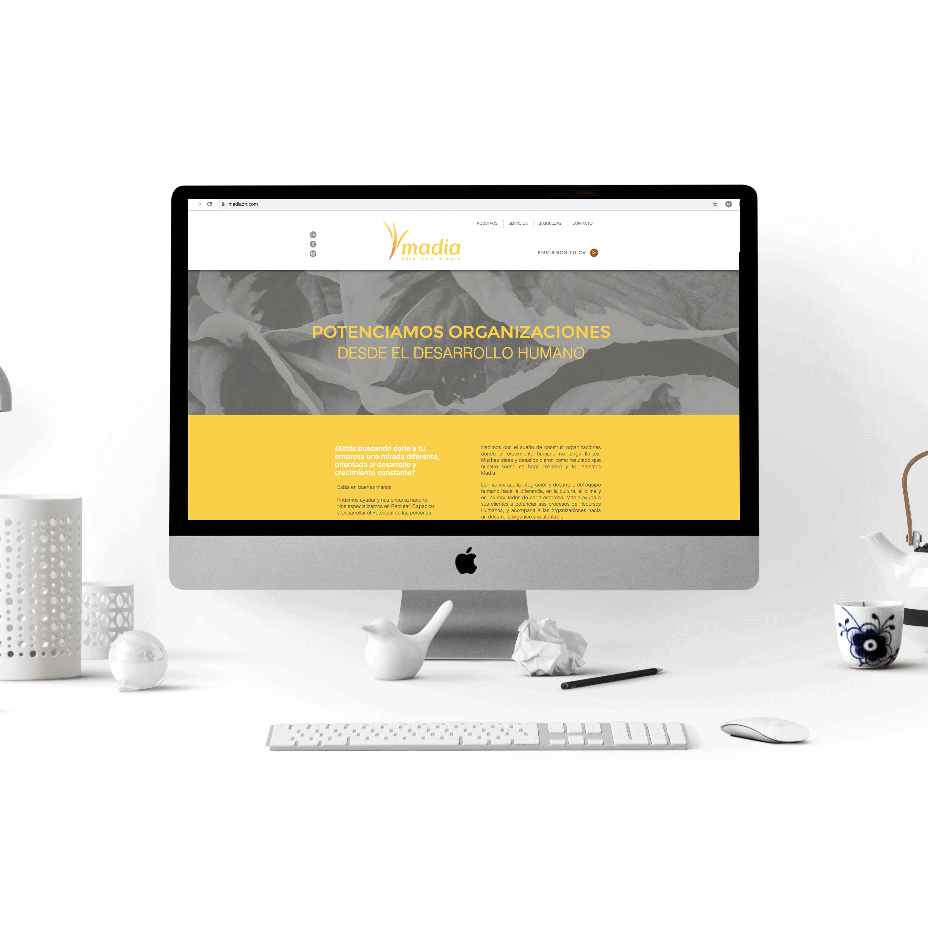 diseño de sitio web