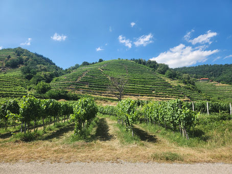 Cycling the Wachau Valley on an e-bike river cruise excursion