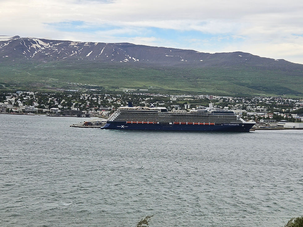 An Overview of Celebrity Silhouette