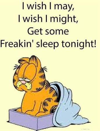 I just want to SLEEP Blog 3