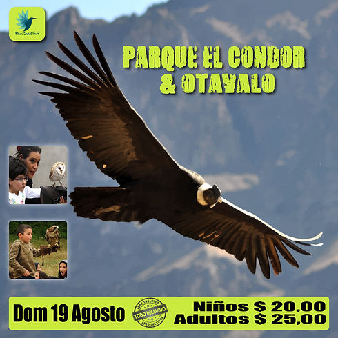 Parque El Condor Julio (1).png