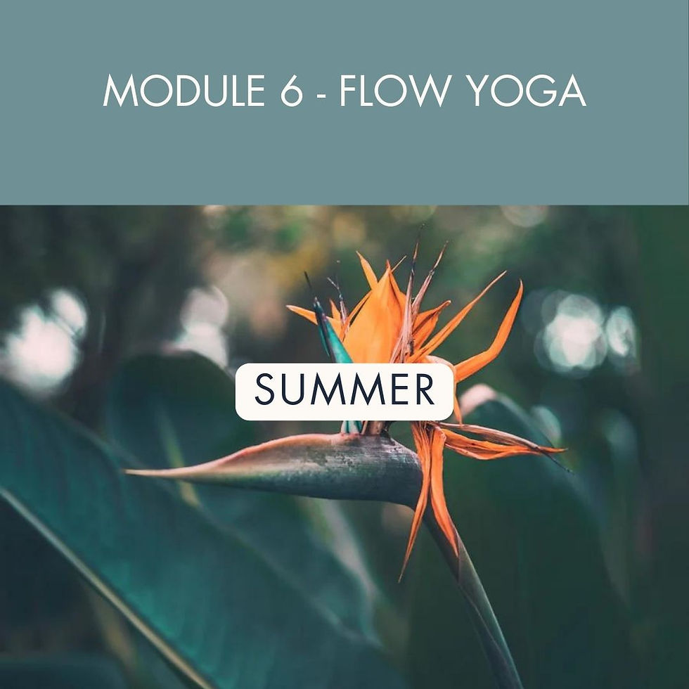 Module 6 - Flow Yoga @ Summer Retreat Location