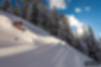 ski