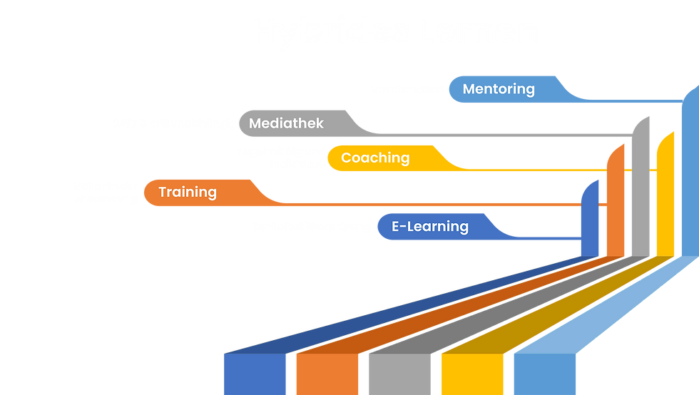 Hybrides Lernen