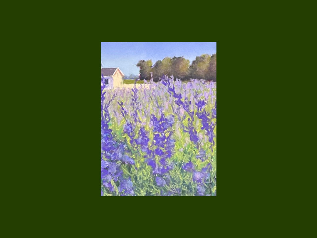 Culinary Lavender II