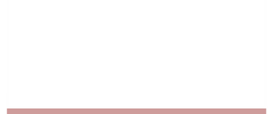 website (2)