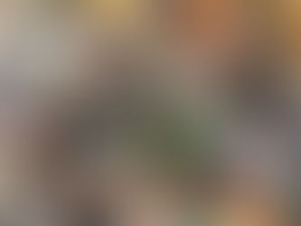 2018暑假據點一日遊