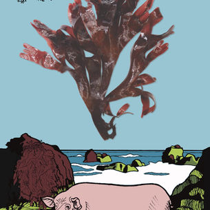 The D.S.T (Dulse, Sea Beet, & Tomato) Sandwich