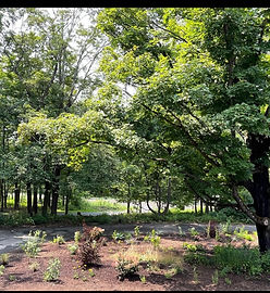 211 MOUNTAIN REST RD