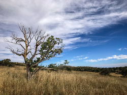 Circle Ranch 10-22-16-19
