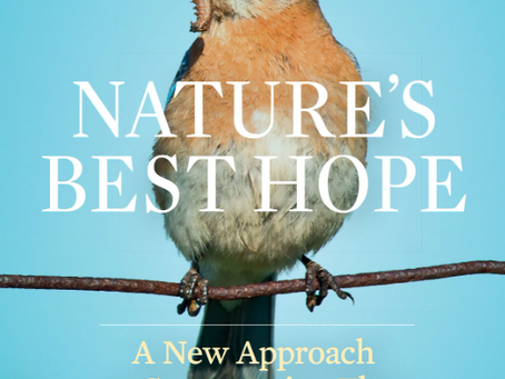 My 3-Book Guide to Gardening with Native Plants